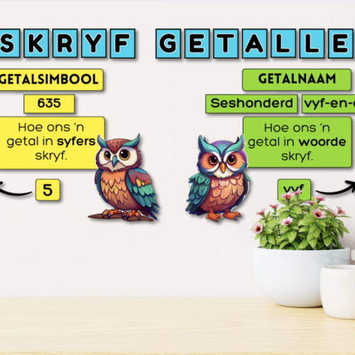 Number Names vs Symbols